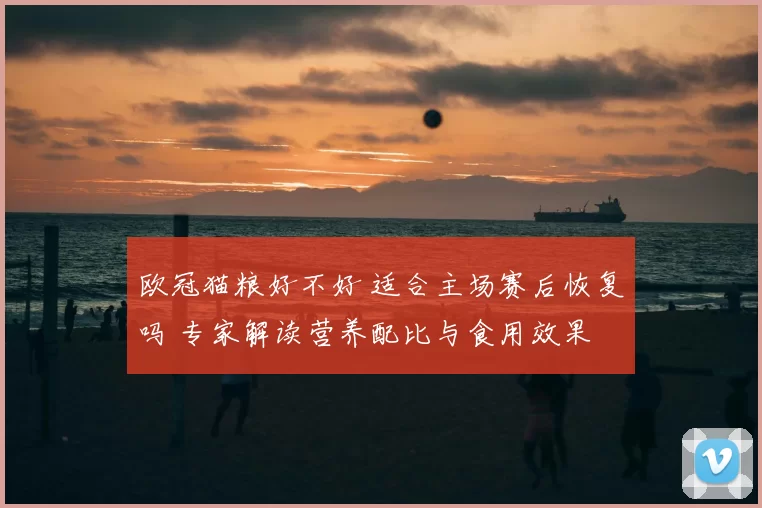 欧冠猫粮好不好 适合主场赛后恢复吗 专家解读营养配比与食用效果