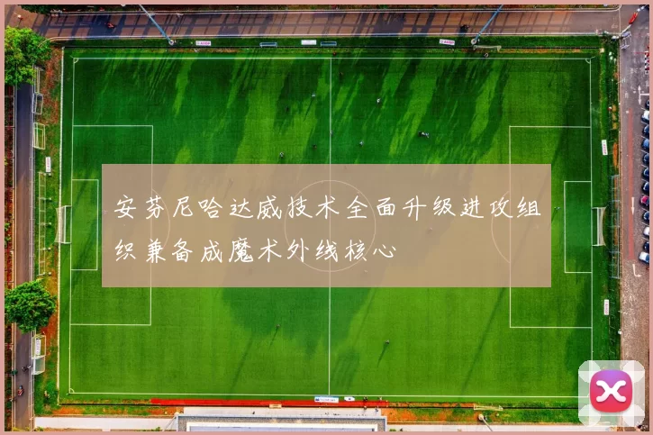 安芬尼哈达威技术全面升级进攻组织兼备成魔术外线核心