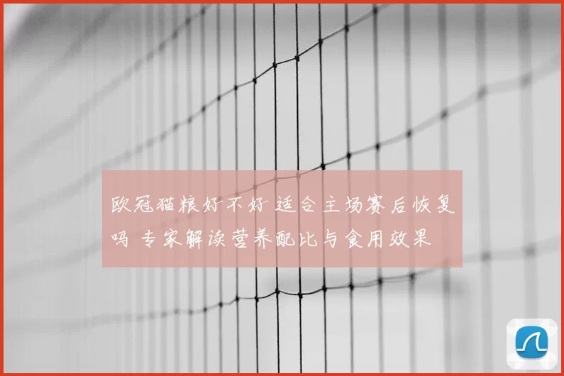 欧冠猫粮好不好 适合主场赛后恢复吗 专家解读营养配比与食用效果